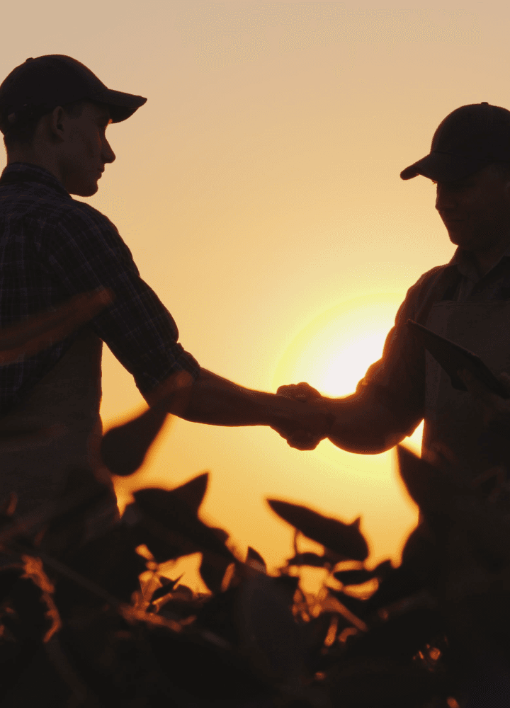 Um aperto de mão entre dois homens em uma plantação