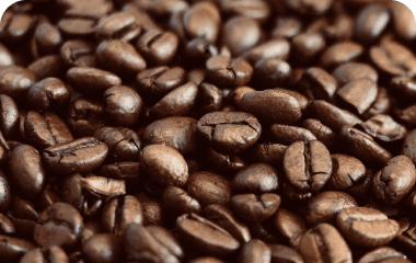 Fundo ilustrativo de grãos de café